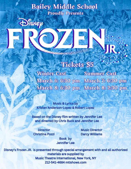 Frozen Jr Flyer